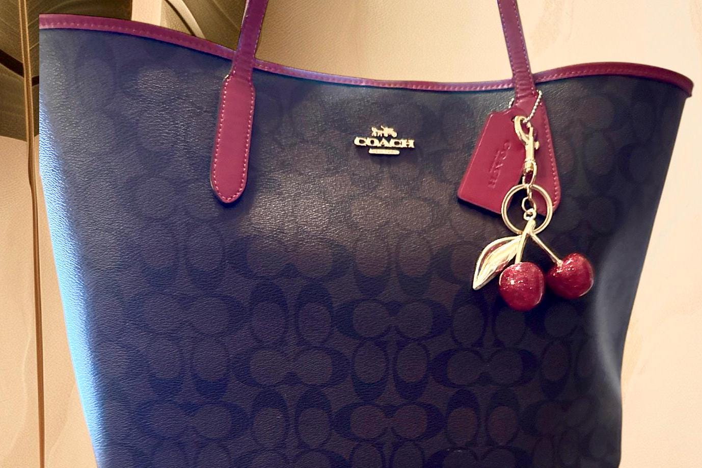 Cherry Bag Charm
